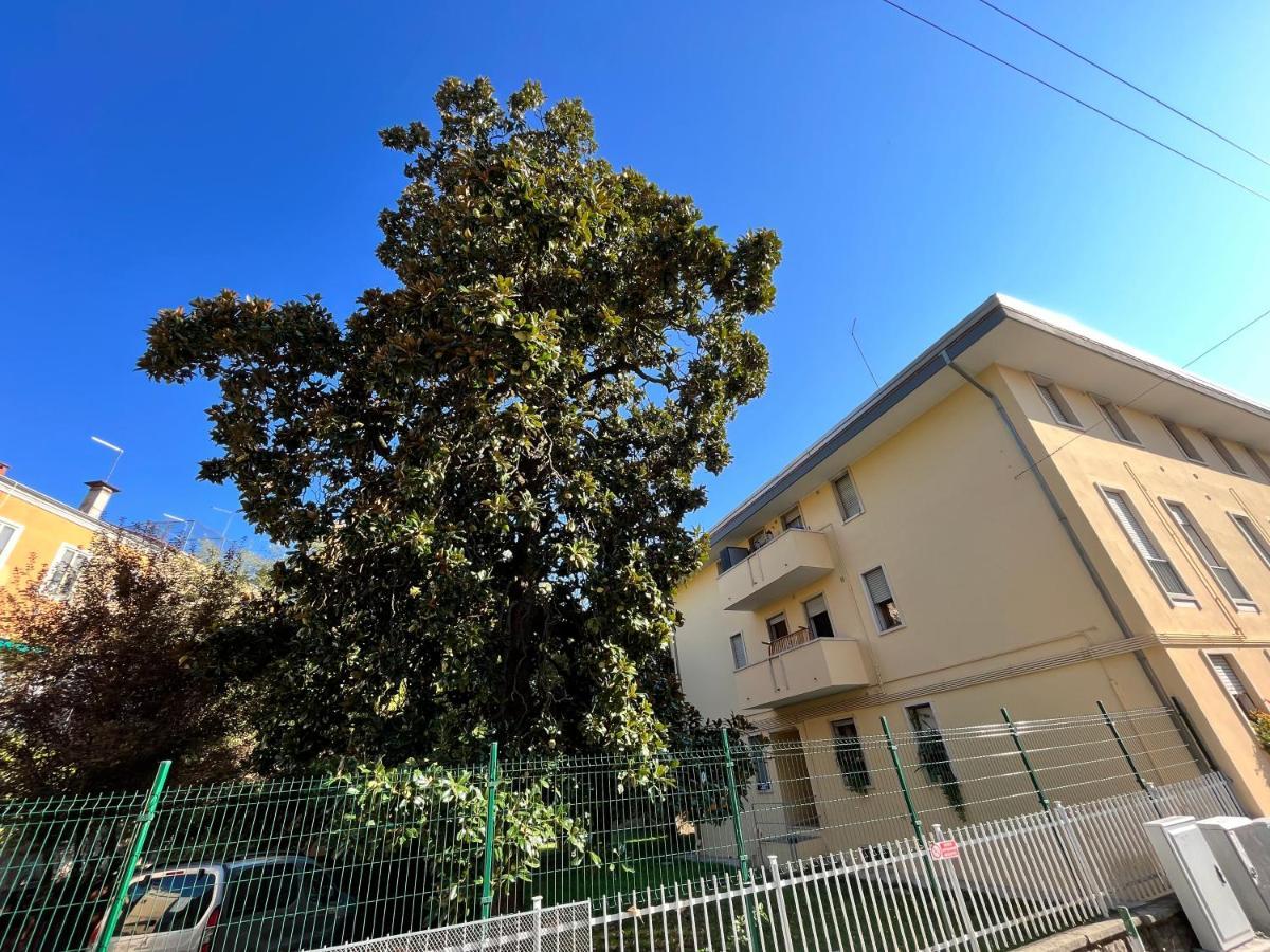 All'Ombra Del Carmine Padova Eksteriør billede